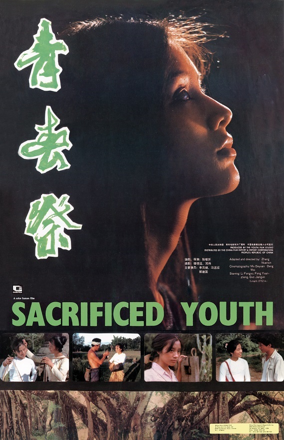 青影厂出品经典电影青春祭2k修复版举行首映